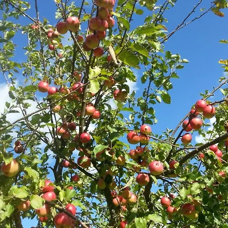 In Mit Grossem Balkon By Interhome Lägenhet