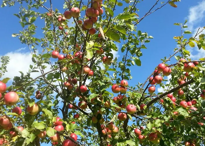 In Mit Grossem Balkon By Interhome Апартаменты